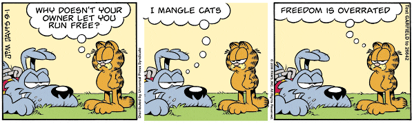 garfield